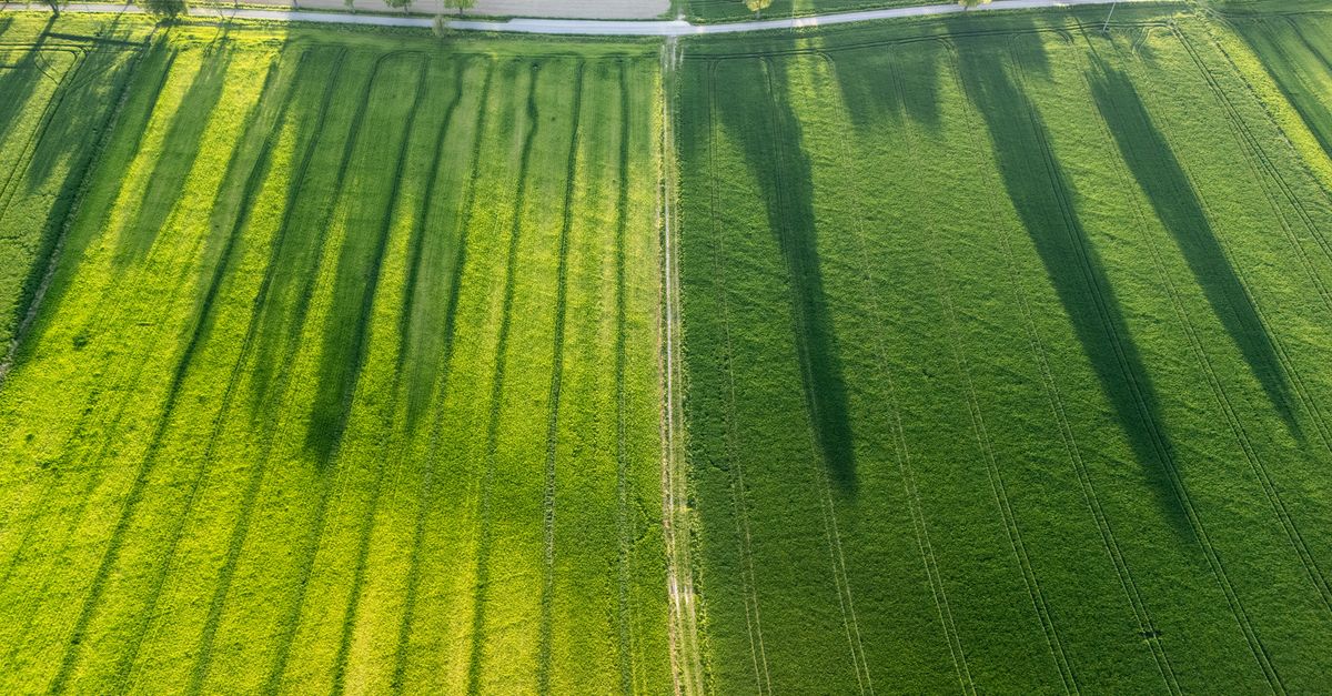 Umwidmungszuschlag: 30 Prozent Zuschlag beim Verkauf