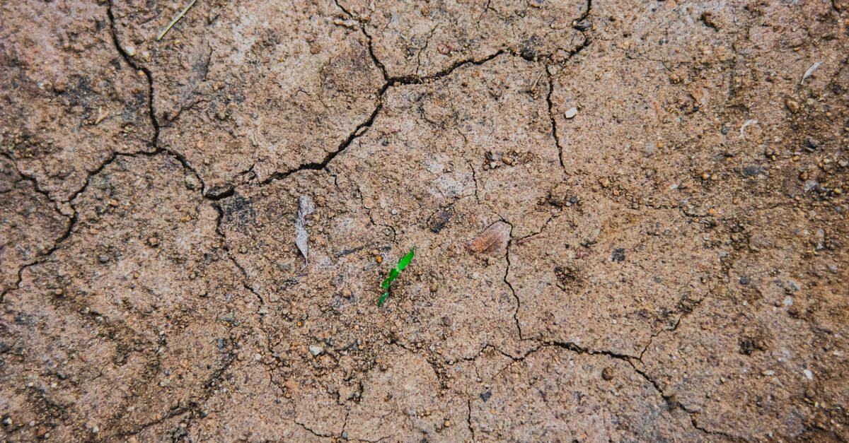 Wasserknappheit Waldviertel 2026: Risiko für Eigentümer