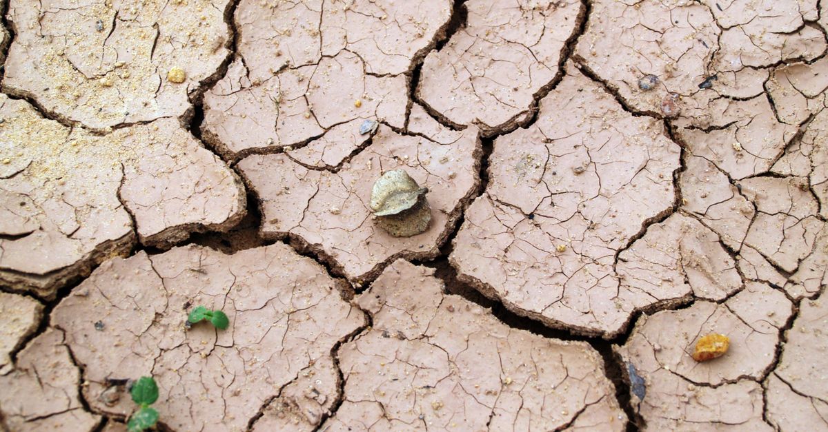 Grundwasserstress: Was Eigentümer jetzt wissen müssen